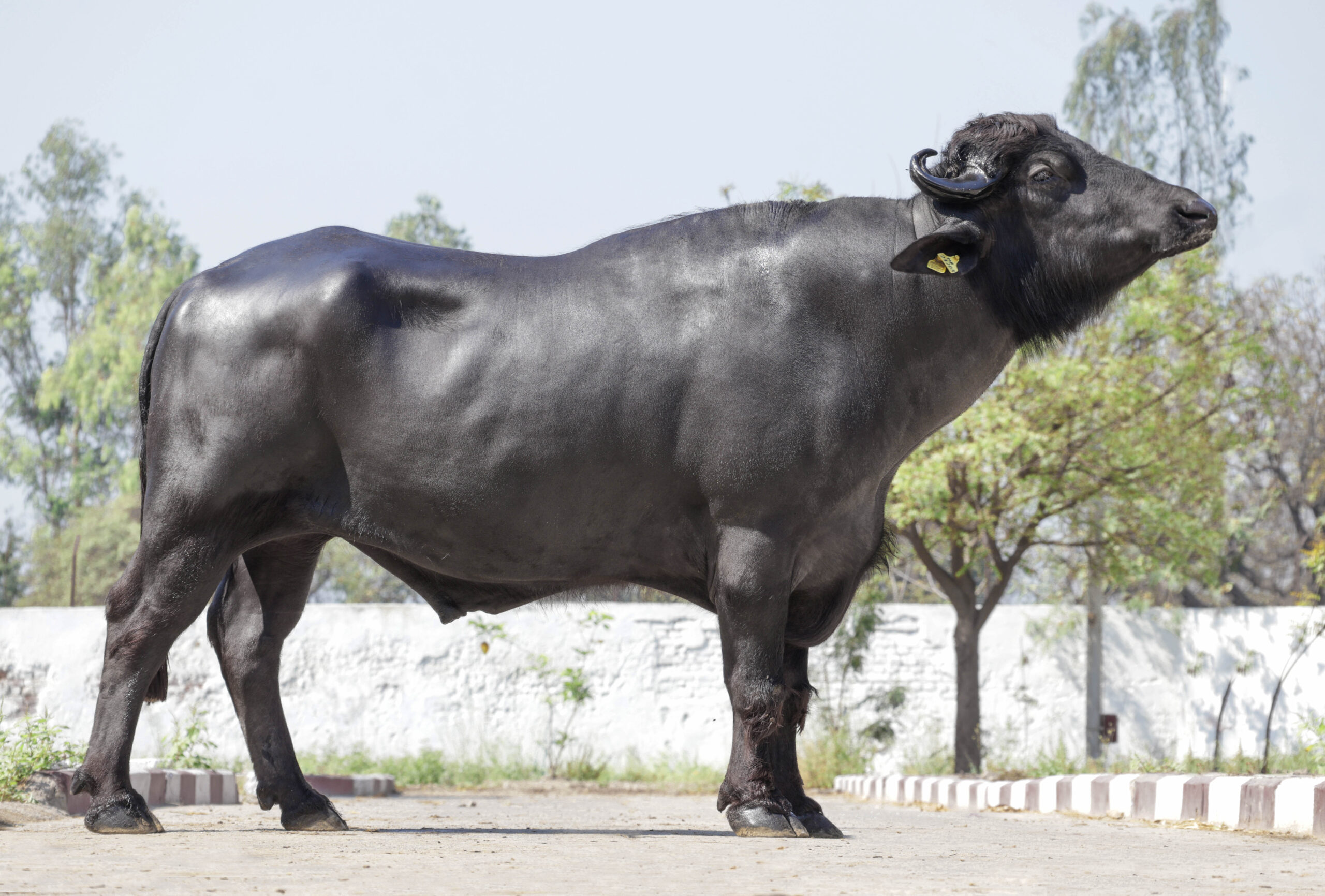 MR-21309 – ABC Salon