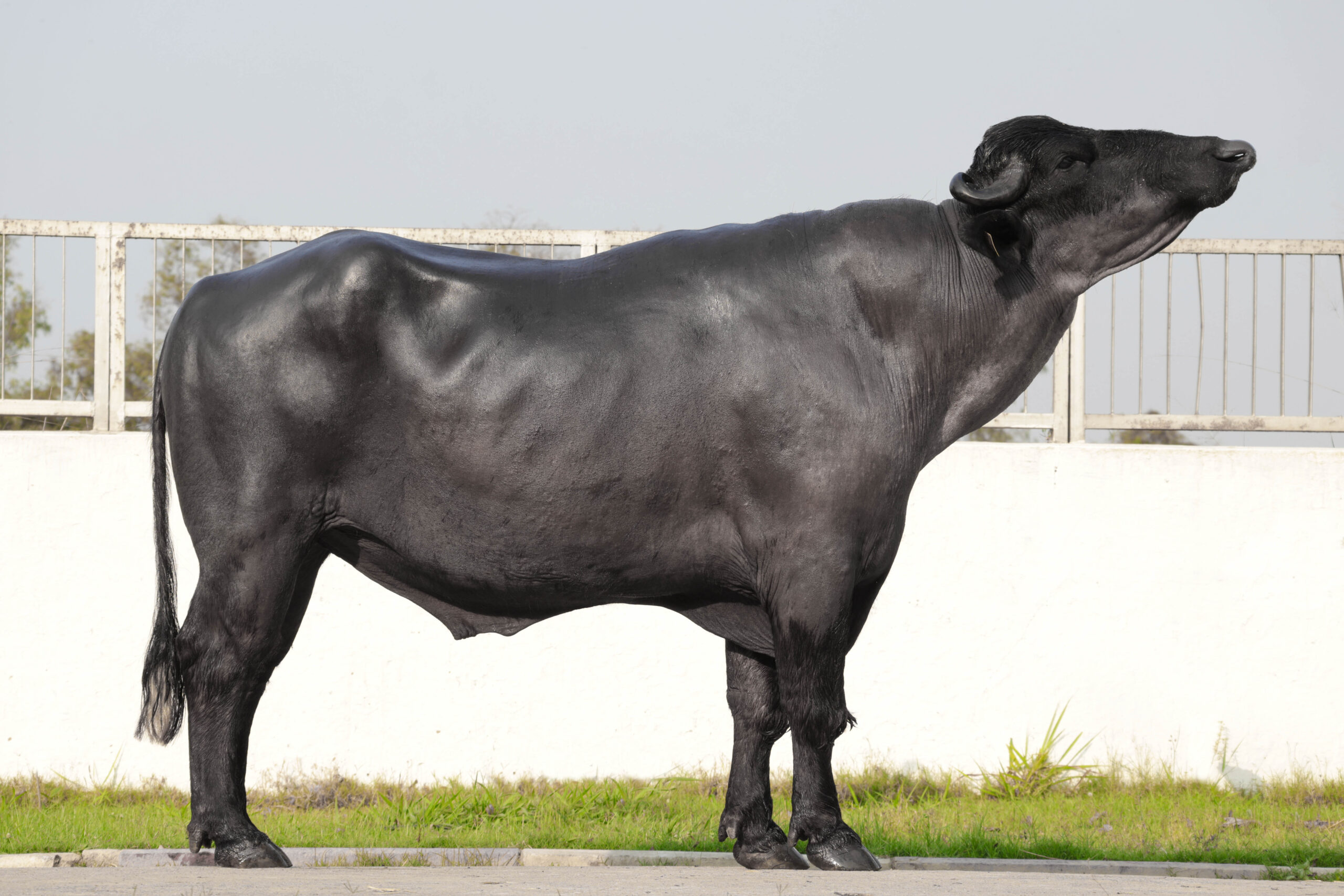 MR-21319 – ABC Salon