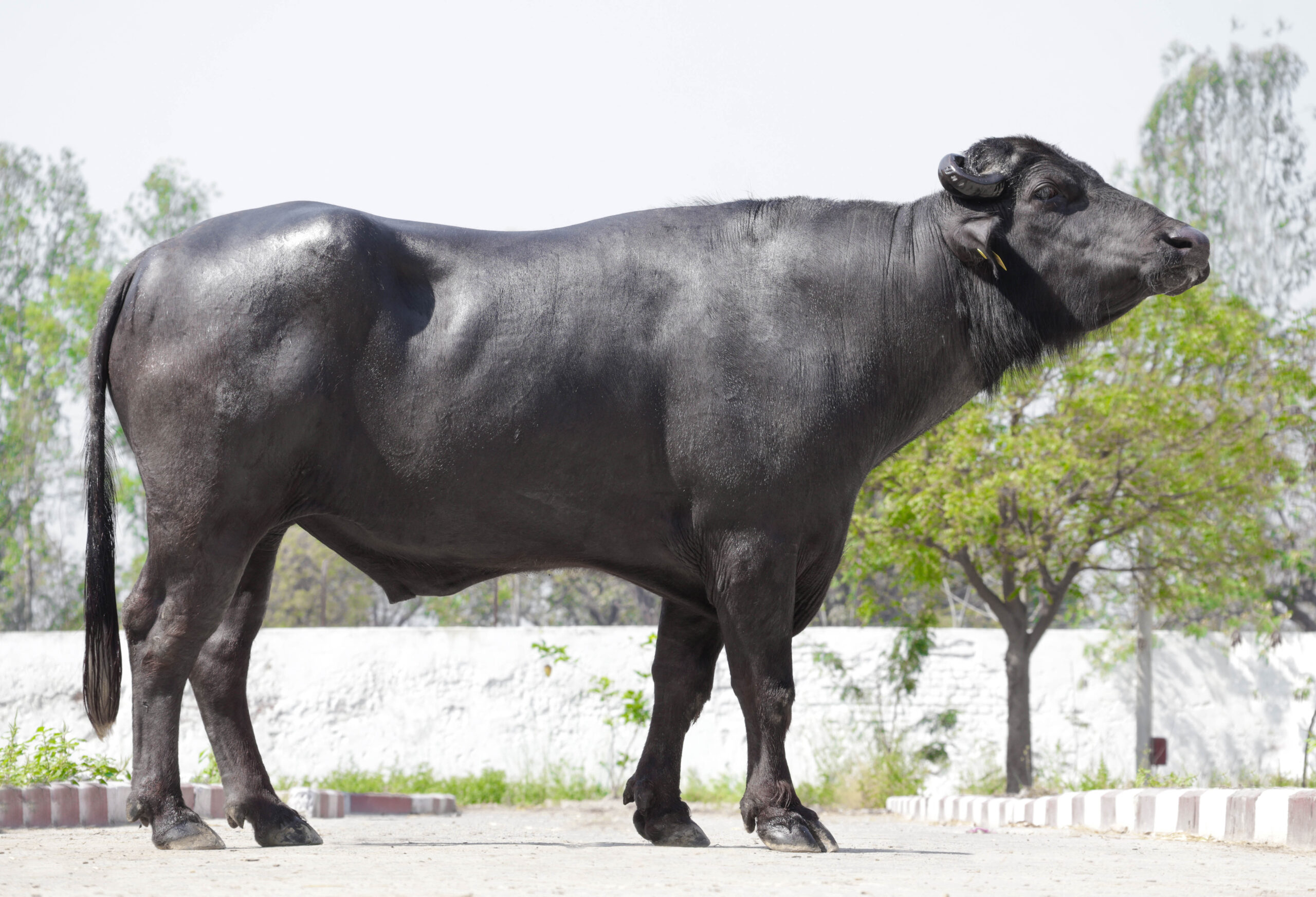 MR-21302 – ABC Salon